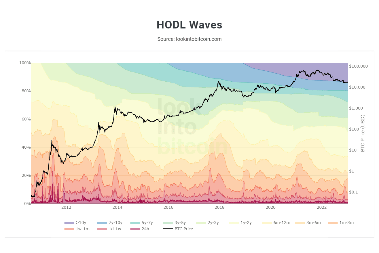 Look Into Bitcoin - HODL Waves